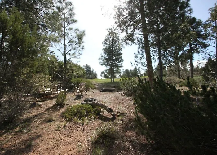 The Holiday home